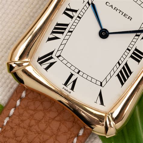 cartier bamboo|cartier bamboo coussin price.